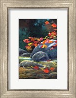 Secluded Glade Fine Art Print