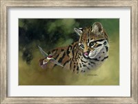 Whiskers and Wings Fine Art Print