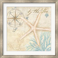 Nautical Shells I Fine Art Print