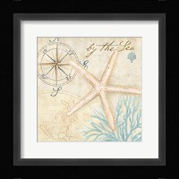 Nautical Shells I Fine Art Print