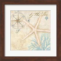 Nautical Shells I Fine Art Print