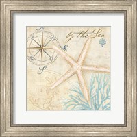 Nautical Shells I Fine Art Print