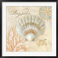 Nautical Shells II Fine Art Print