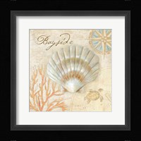 Nautical Shells II Fine Art Print