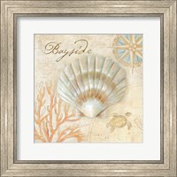 Nautical Shells II Fine Art Print