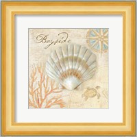 Nautical Shells II Fine Art Print