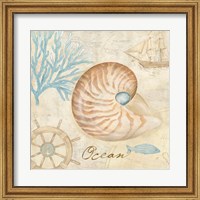 Nautical Shells III Fine Art Print