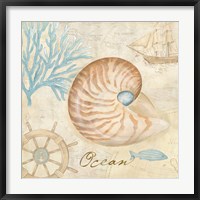 Nautical Shells III Fine Art Print