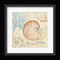 Nautical Shells III Fine Art Print