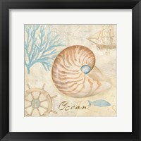 Nautical Shells III Framed Print