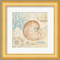 Nautical Shells III Fine Art Print