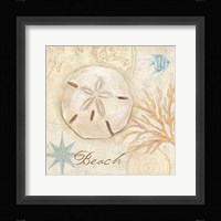 Nautical Shells IV Fine Art Print