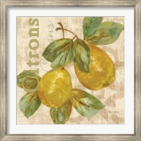 Rustic Fruit III Fine Art Print