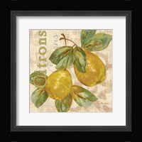 Rustic Fruit III Framed Print