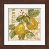 Rustic Fruit III Fine Art Print