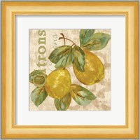 Rustic Fruit III Fine Art Print