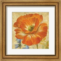 Primavera II Fine Art Print