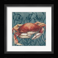 Nautical Critters III Framed Print