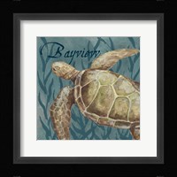 Nautical Critters IV Framed Print