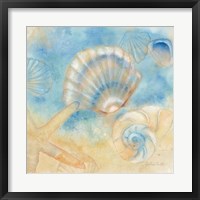 Watercolor Shells II Fine Art Print
