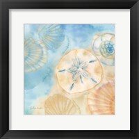 Watercolor Shells III Framed Print