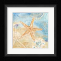 Watercolor Shells IV Framed Print