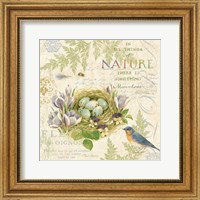 Nature Trail I Fine Art Print