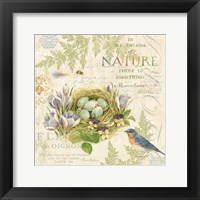 Nature Trail I Framed Print