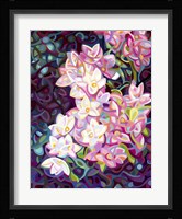 Cascade Fine Art Print