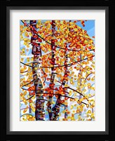 Panoply Fine Art Print