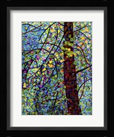 Pine Sprites Fine Art Print