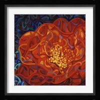 Ribbons And Pearls Fine Art Print