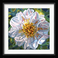 Solitaire Fine Art Print