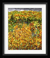 Towards Autumn Fine Art Print