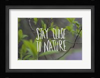 Nature Fine Art Print