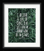 Leaf Of Grass Fine Art Print