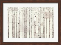 Birch Trees on White Fine Art Print