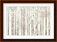 Birch Trees on White Fine Art Print