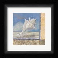 Ocean Beauties I Fine Art Print