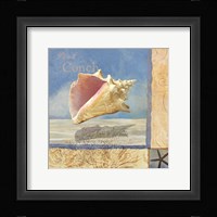 Ocean Beauties II Fine Art Print