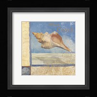 Ocean Beauties III Fine Art Print