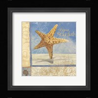 Ocean Beauties IV Fine Art Print