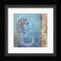 Sea Horse and Sea Fine Art Print