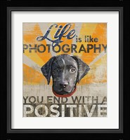 Dog days - Lab Pup Fine Art Print