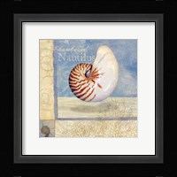 Ocean Beauties V Fine Art Print