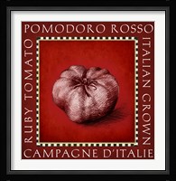 Vegetable Classics II Framed Print