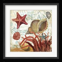 Shell Collector 1I Fine Art Print