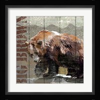Open Season Bear Fine Art Print