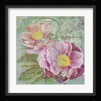 Peony Garden I Framed Print