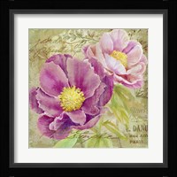 Peony Garden II Framed Print
